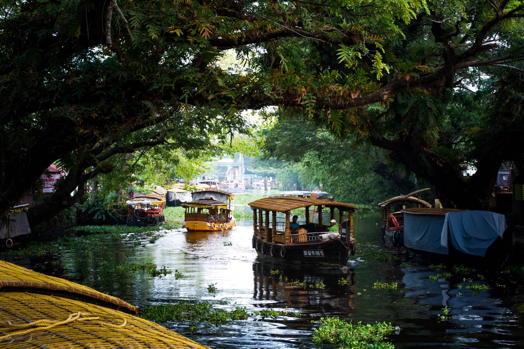 Alleppey, Kerala — Backwater houseboat ceremonies and waterfront resorts.