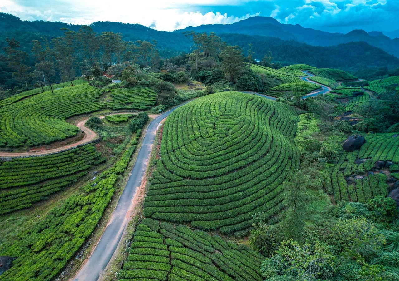 Munnar, Kerala — Tea-estate venues for cool-weather celebrations.